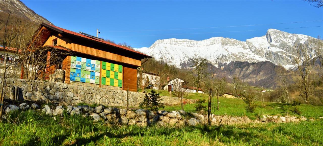 Sleeping With The Bees Kozjak Kobarid Ngoại thất bức ảnh